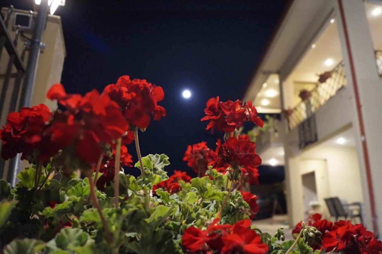 Melody Apartments Ayios Nikolaos Bagian luar foto